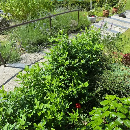 El Porche ヴィラ ビリャビシオサ